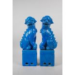 A pair of Chinese turquoise glazed porcelain temple lions, 32cm high