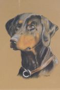 G. Ballett, study of a dog, pastel, 10" x 11"