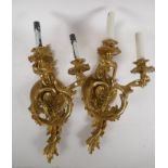 A pair of gilt metal Rococo style twin branch electric wall sconces, 16" high