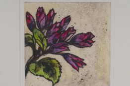 Vicky Oldfield, RBA, British, Honesty Bud, limited edition etching, still life, pencil signed,