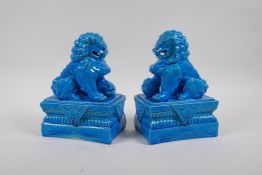 A pair of Chinese turquoise glazed porcelain temple lions, 20cms high