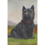 Howard Robinson, portrait of a dog, signed and dated 1938, oil on canvas, 41 x 51cm