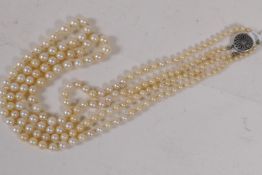 A pearl two string necklace with sterling silver clasp, 44cm long