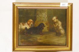 R.S. Moseley, two spaniels and a begging terrier, oil on canvas, signed and dated 1889, relined with