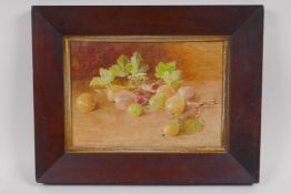 A still life with gooseberries on a mossy banks, signed F. Spencer, mahogany framed watercolour,