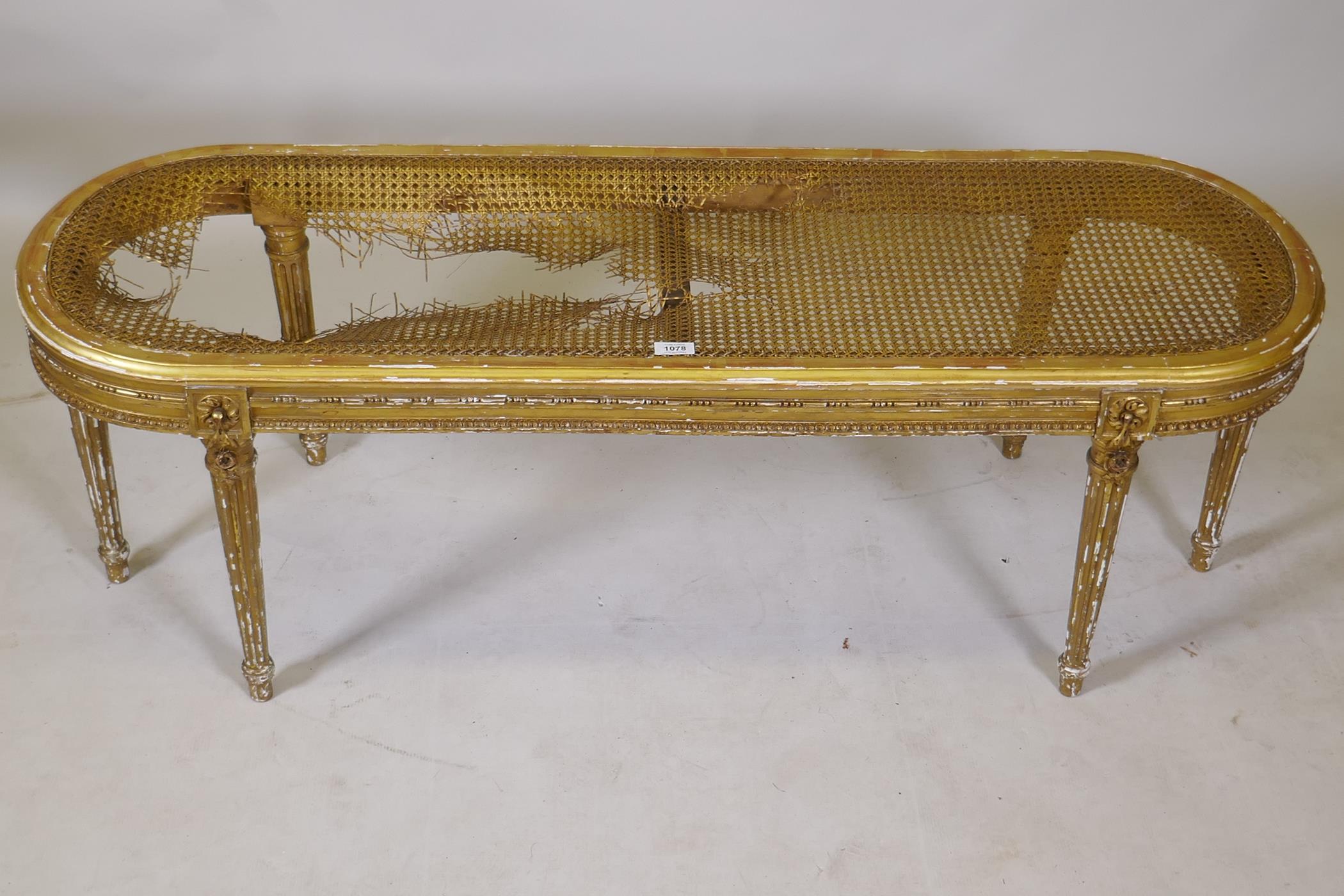 A C19th gilt wood window seat with oval cane top on six fluted supports, cane AF, 45 x 132 x 43cms - Image 2 of 3