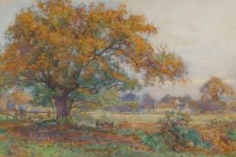 Sidney Grant Rowe, landscape with sheep under a tree, inscribed on frame 'Under the Oak Tree',