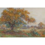 Sidney Grant Rowe, landscape with sheep under a tree, inscribed on frame 'Under the Oak Tree',