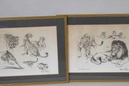 William Timym, two prints of lions and leopards, 66cm x 46cm
