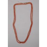 A long string of vintage coral beads, with a gold clasp 148cm long