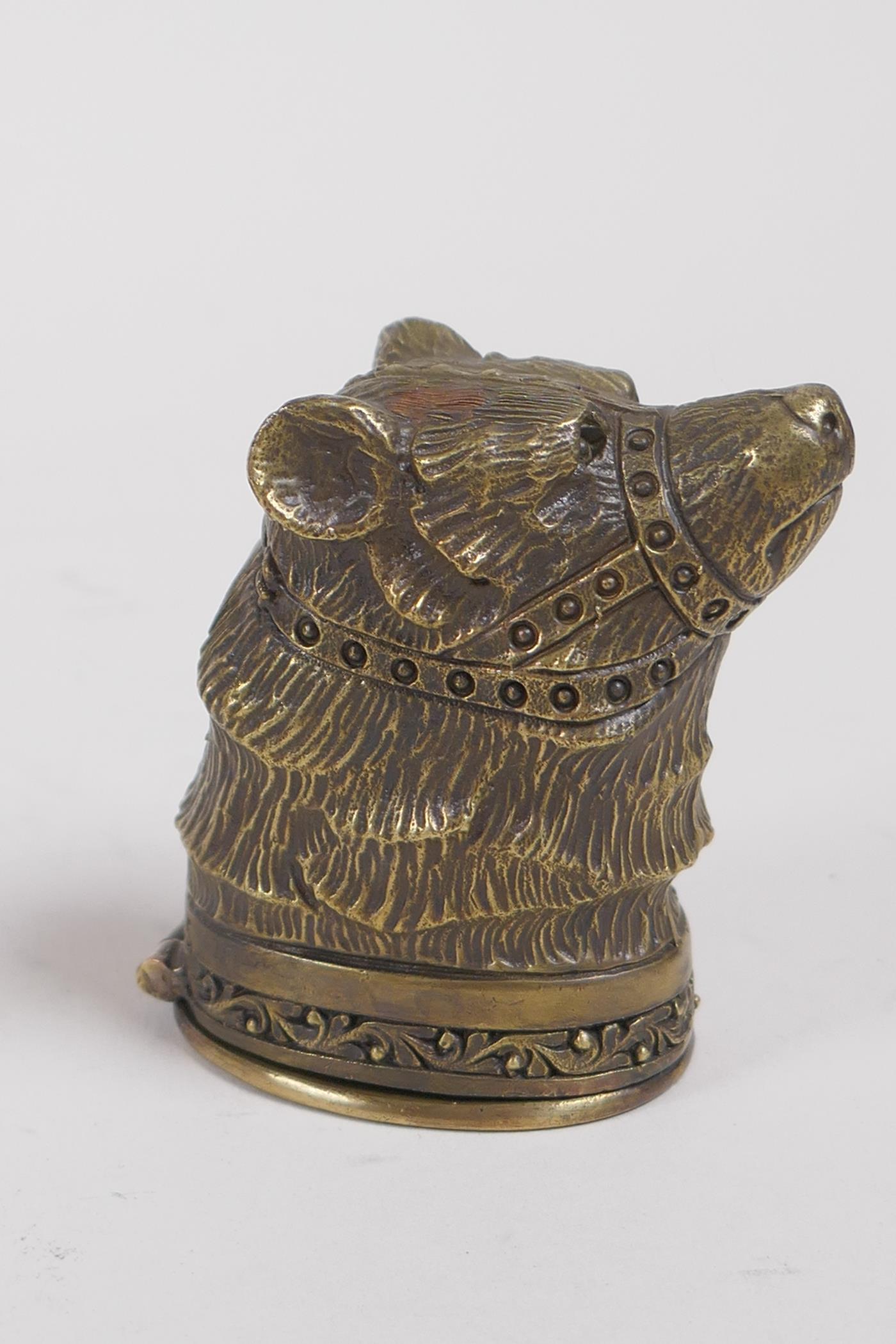 A brass vesta case in the form of a bear's head, 5cm - Image 2 of 3