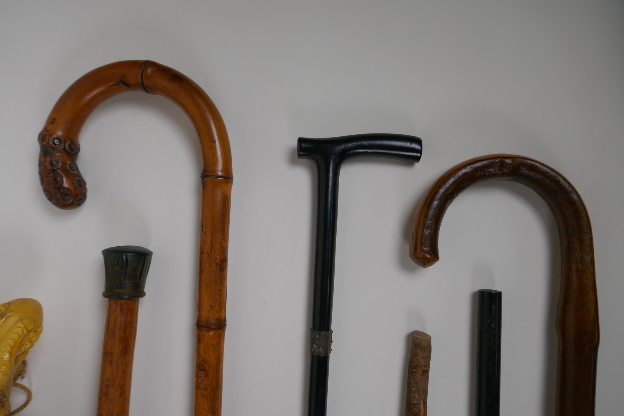 A collection of walking sticks including an ebonised stick with a hallmarked silver cuff, and a horn - Image 2 of 5