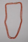A long string of vintage coral beads, with a gold clasp 148cm long