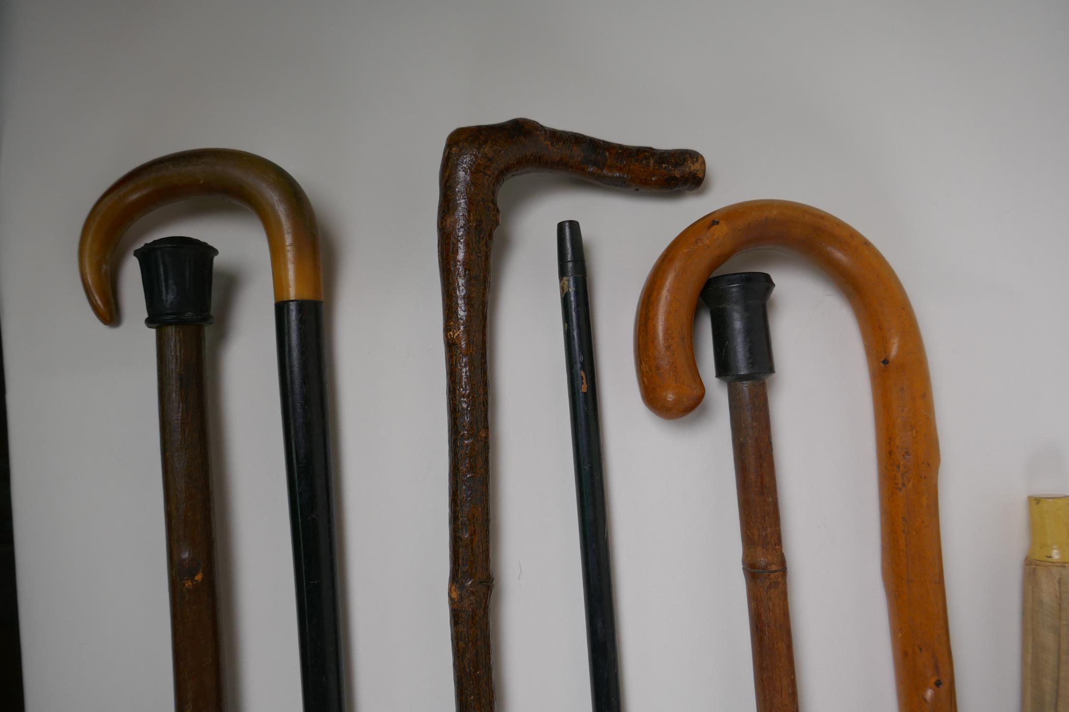 A collection of walking sticks including an ebonised stick with a hallmarked silver cuff, and a horn - Image 3 of 5