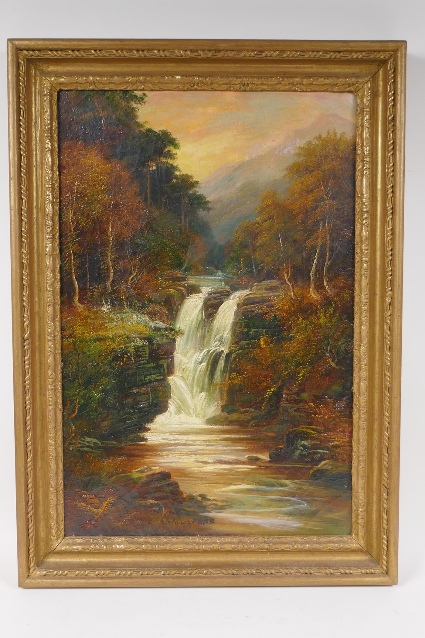 G. Willis-Pryce, a wooded mountain stream, signed, oil on canvas, 31 x 46cms - Image 2 of 4