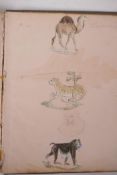 A C19th scrap book containing many illustrations, aphorisms and poems including animal sketches by