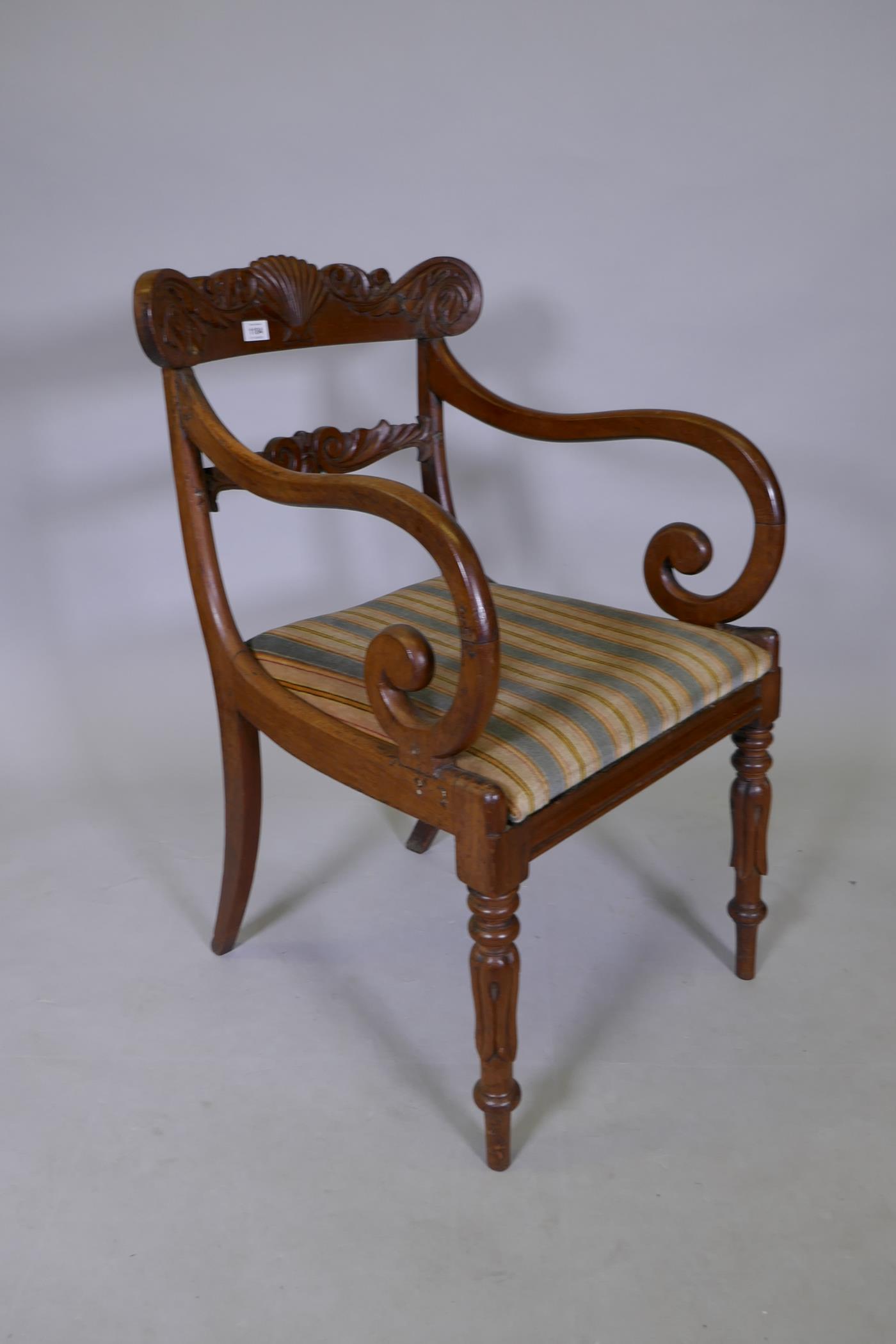 A Georgian style Anglo Indian mahogany carver chair with scroll arms and fluted turned supports