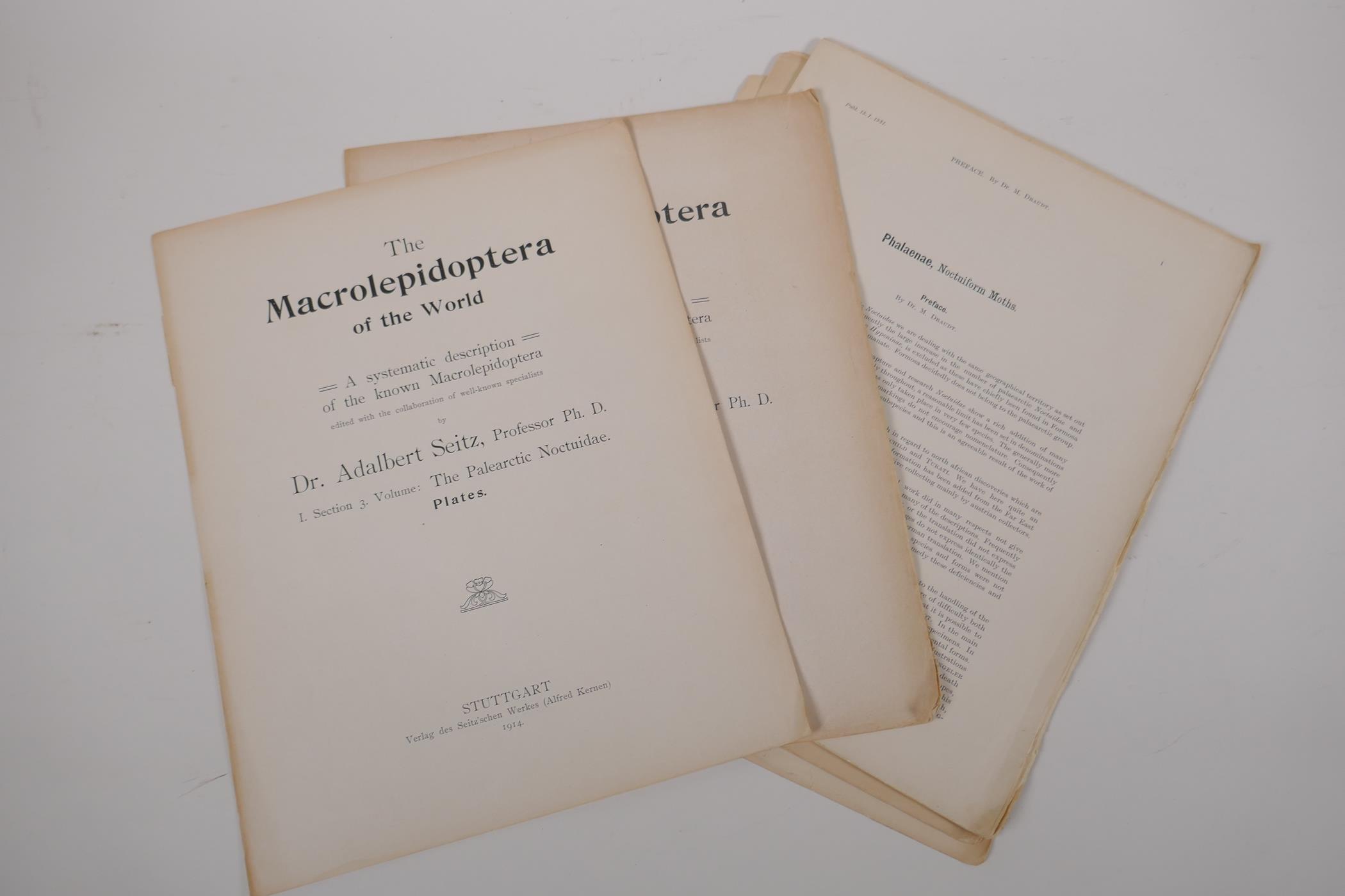 Dr Adalbert Seitz, The Macrolepidoptera of the World - The Macrolepidoptera of the Palearctic - Image 8 of 8