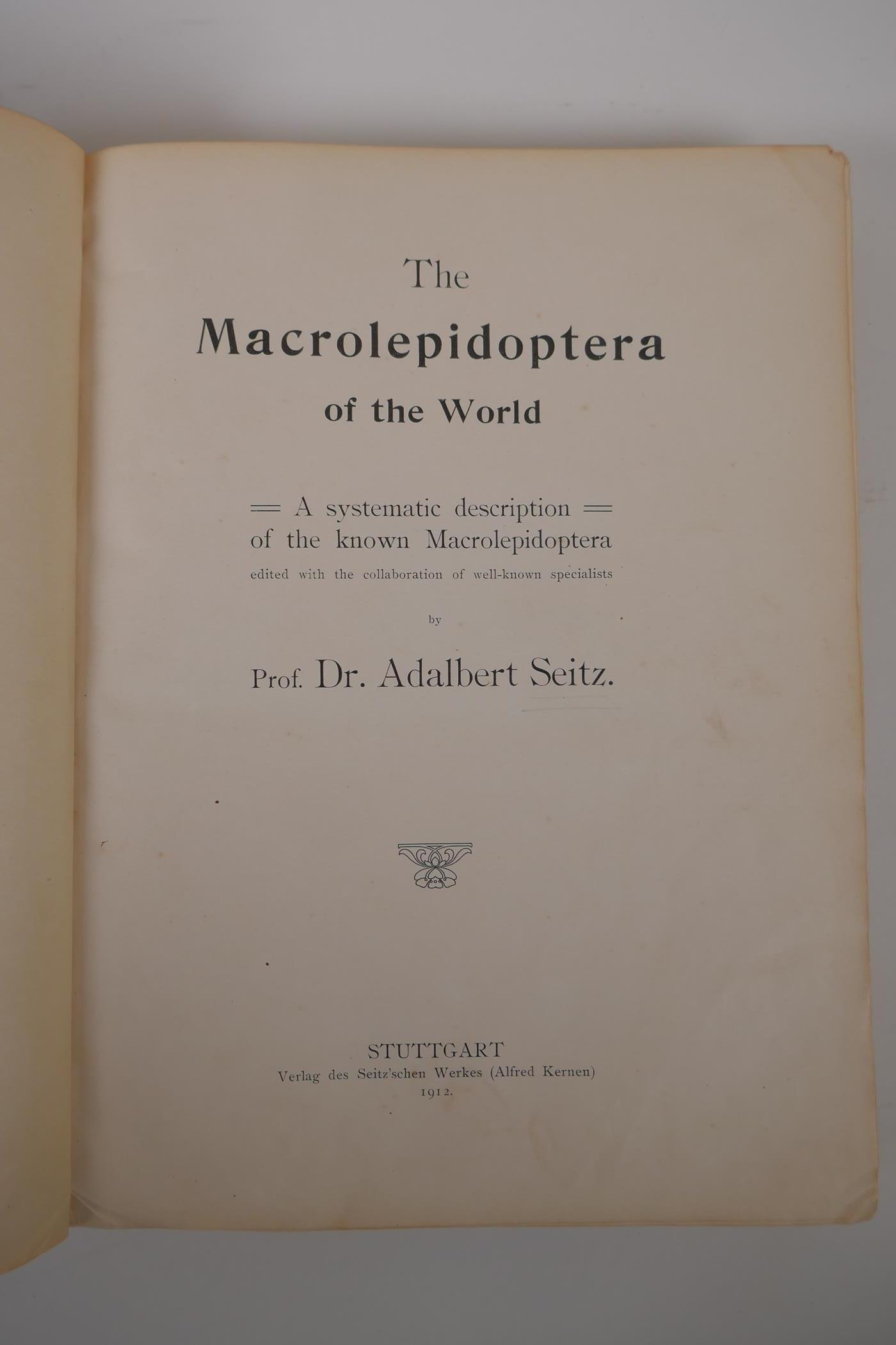 Dr Adalbert Seitz, The Macrolepidoptera of the World - The macrolepidoptera of the Palaeartic