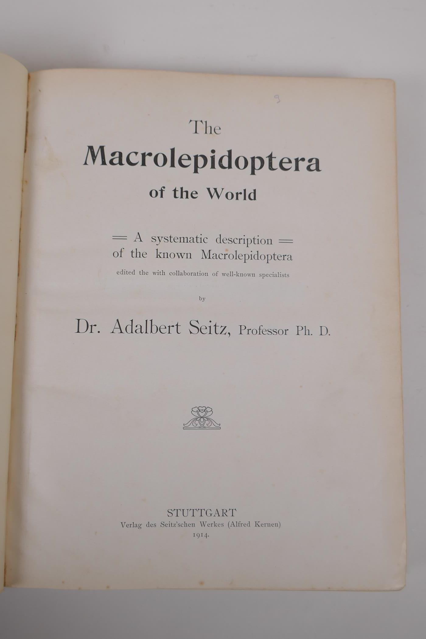 Dr Adalbert Seitz, The Macrolepidoptera of the World - The Macrolepidoptera of the Palearctic - Image 2 of 8