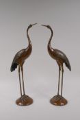 A pair of oriental bronze crowned cranes, 39cm high