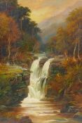 G. Willis-Pryce, a wooded mountain stream, signed, oil on canvas, 31 x 46cms