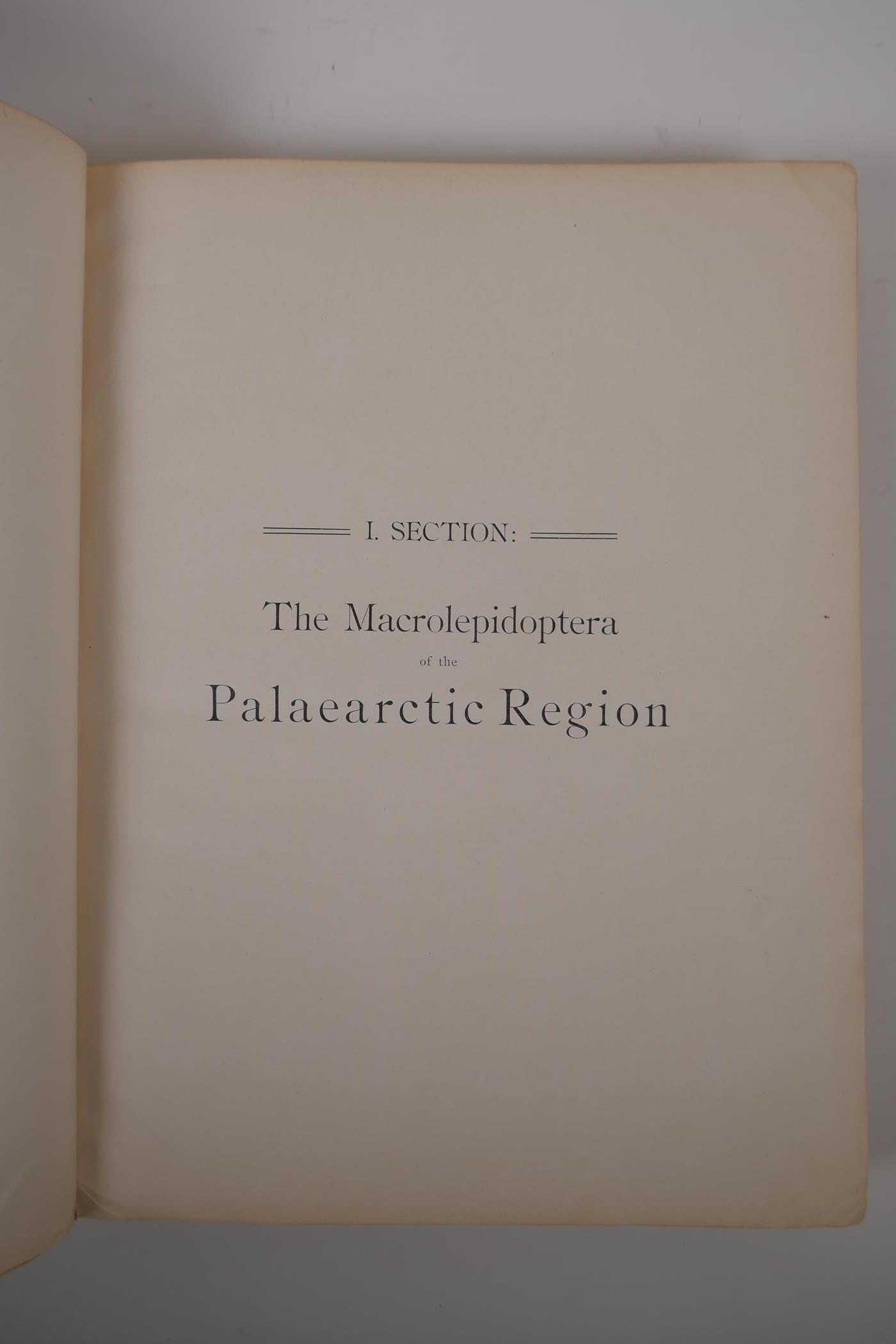 Dr Adalbert Seitz, The Macrolepidoptera of the World - The macrolepidoptera of the Palaeartic - Image 4 of 7