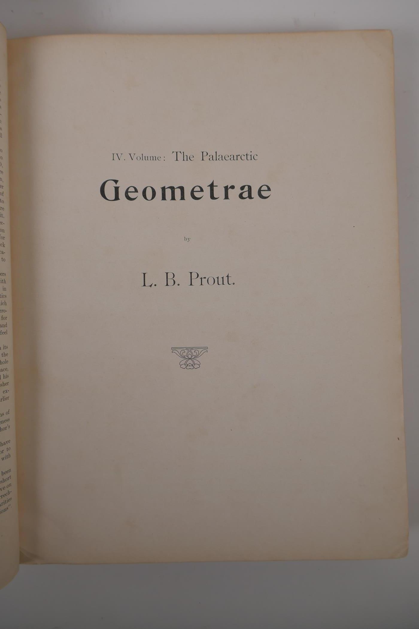 Dr Adalbert Seitz, The Macrolepidoptera of the World - The macrolepidoptera of the Palaeartic - Image 5 of 7