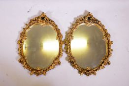 A pair of gilt composition wall mirrors, 48cm x 65cm