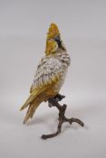 A Viennese style cold painted bronze cockatoo, 30cm high