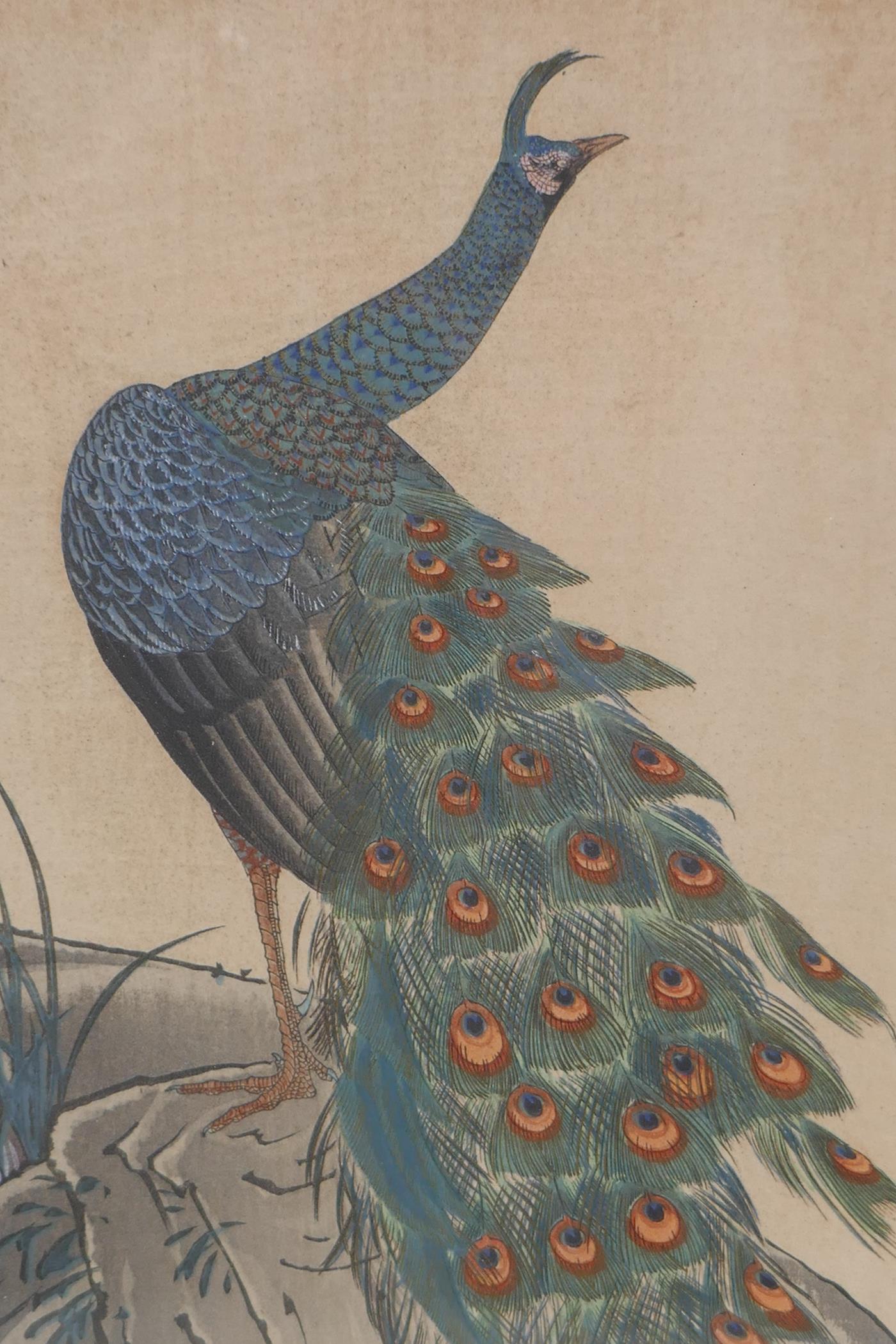 A Japanese Meiji period woodblock print of a peacock, with gilt details signed, 18cm x 34cm - Image 3 of 6