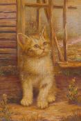 Portrait of a kitten, late C20th oil on canvas, unsigned, 21cm x 25cm