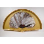 An antique ostrich feather and tortoiseshell fan in a bespoke gilt display case/frame, 100cm x 59cm