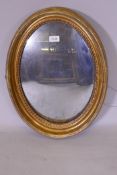 A rare Regency oval convex mirror in original giltwood frame with lambs tongue moulded decoration