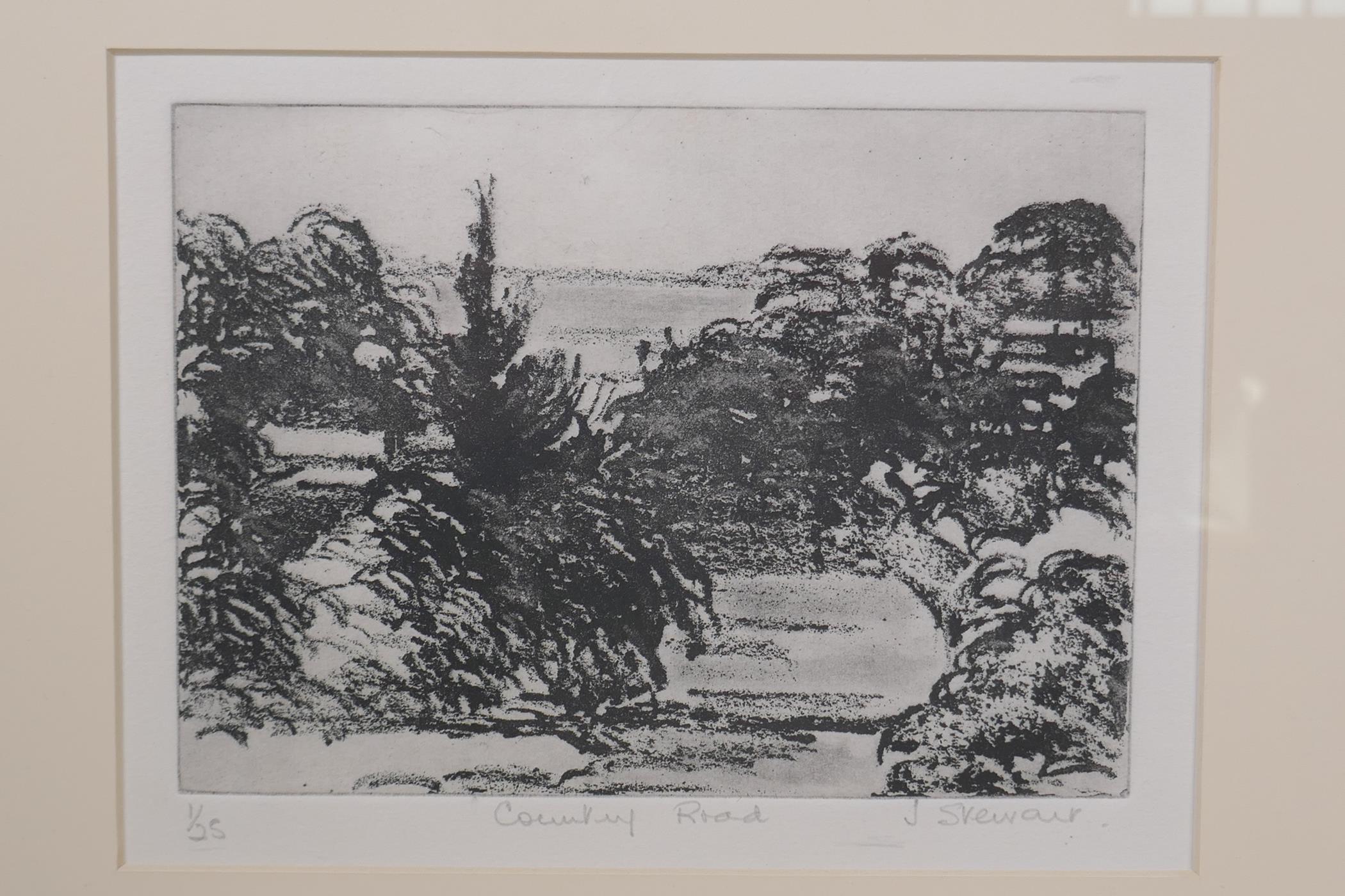 Joy Stewart, The Bridge, and  Country Road, two limited edition etchings, 1/25, pencil signed, - Image 3 of 7