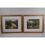 After George Armfield, terriers, a pair of late C19th/early C20th chromolithographs, 28cm x 21cm