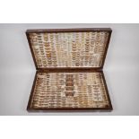 Natural History, an oak cased antique Lepidoptera (moth) collection, box 54cm x 33cm