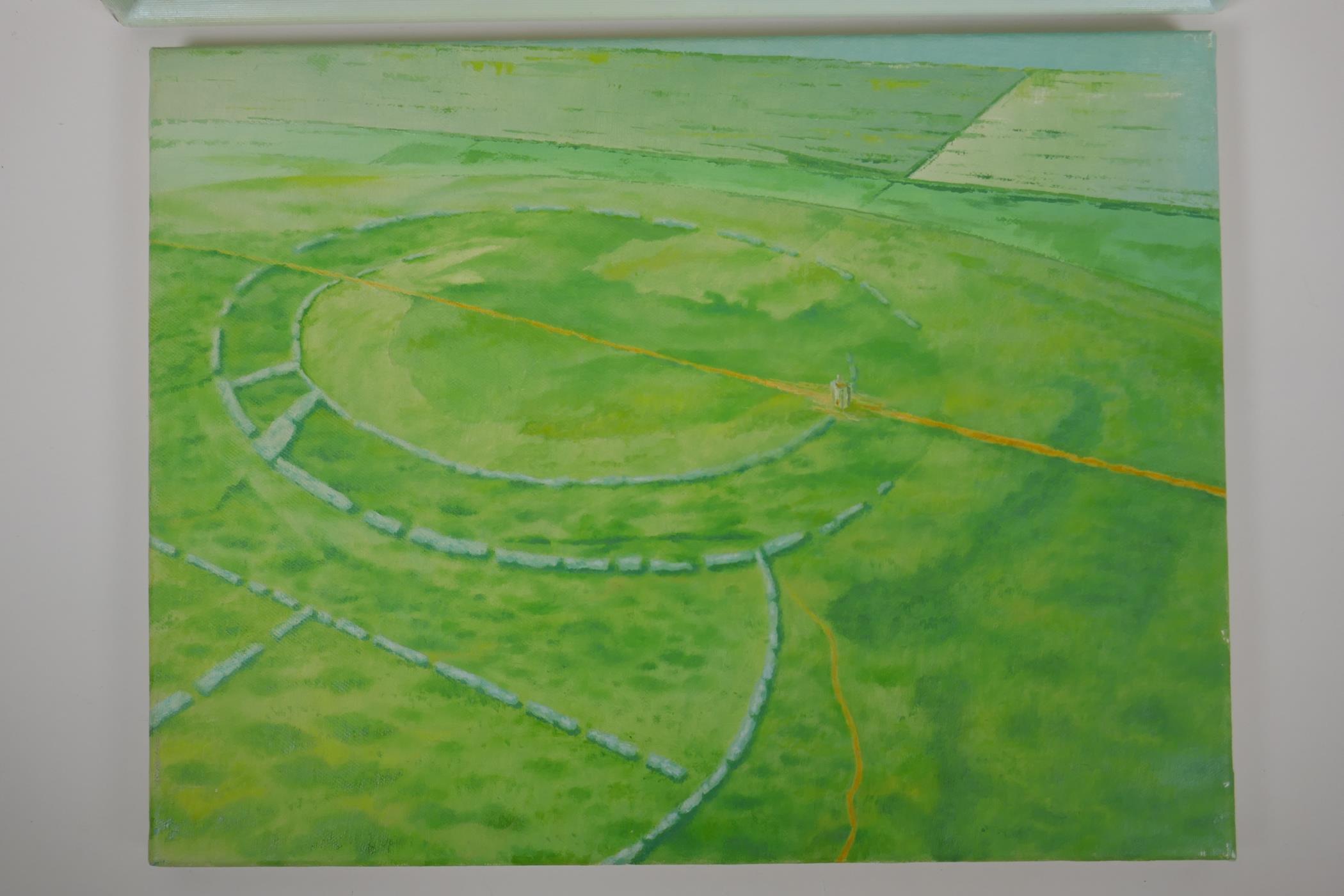 Joh Riley, pair of Cornish landscapes with barrows and ley lines viewed from the air, oil on canvas, - Image 5 of 5