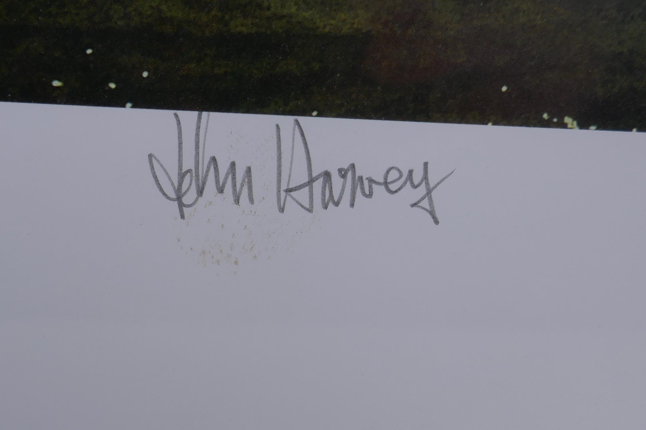 John Harvey, village cricket, limited edition print, 125/400, pencil signed, 50cm x 37cm - Image 3 of 5