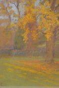 Edith Hine, early C20th, the tulip tree on the lawn at the Hermitage, Harrow, pastel on paper,