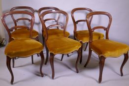 A set of six Victorian rosewood balloon back dining chairs, with stuffed seats, raised on shaped