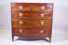 A C19th mahogany bowfront chest of two over three drawers with brass plate handles, raised on shaped
