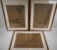 Three watercolours of budding tree branches, initialled G.M., largest 34cm x 52cm