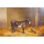 Thos. Whaite, stable interior with dog and donkey, signed Whaite, oil on canvas, 26 x 50cm