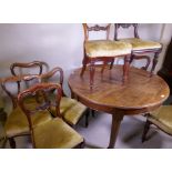 A mahogany wind out dining table, raised on turned supports with pad feet and a harlequin set of