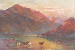 H.W. Maunder, highland scene with cattle, signed, oil on canvas, 46 x 30cm