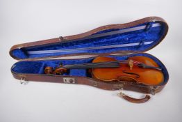 An antique burr maple backed violin, label to the interior 'Giovani Paolo Maggini, Brescia, 1640',