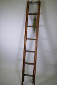 An antique pine two section extending ladder, 213cm closed