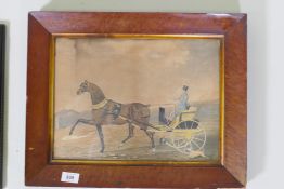 C19th hand coloured lithograph, gentleman with bay horse and gig, in a bird's eye maple frame, 38