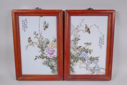 A pair of Chinese famille verte porcelain plaques depicting birds amongst flowers, in hardwood